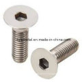 Contersunk Head Bolt/Hexagon Socket Csk Bolt